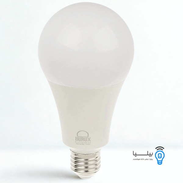 تصویر لامپ 10 وات بروکس خرید با ارسال رایگان از بیلیا